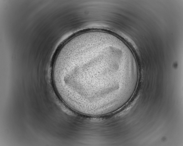 X0000099481029200805301614