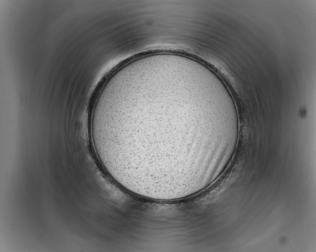 X0000099481030200805301614