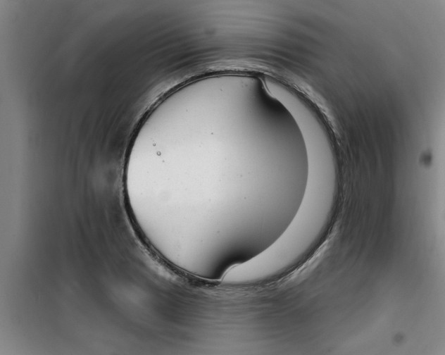 X0000099481033200805301614