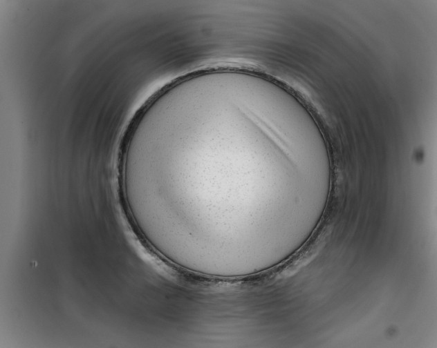 X0000099481038200805301614