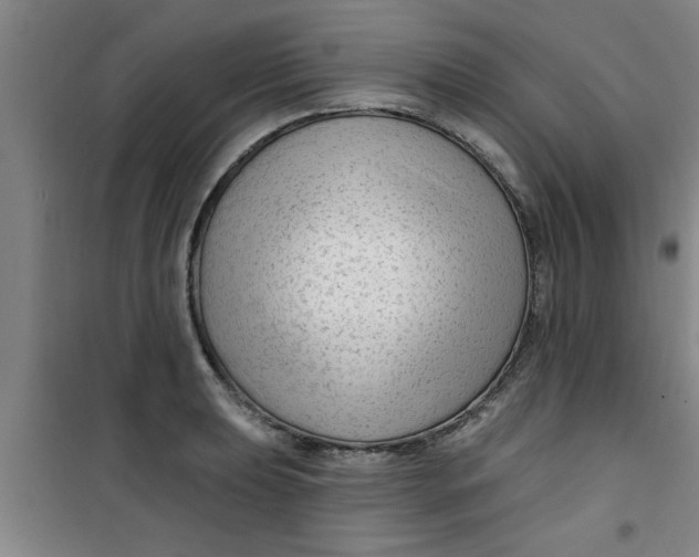 X0000099481039200805301614
