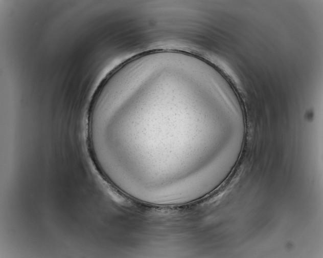 X0000099481040200805301614