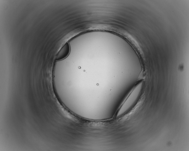 X0000099481041200805301614