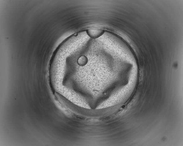 X0000099481042200805301614