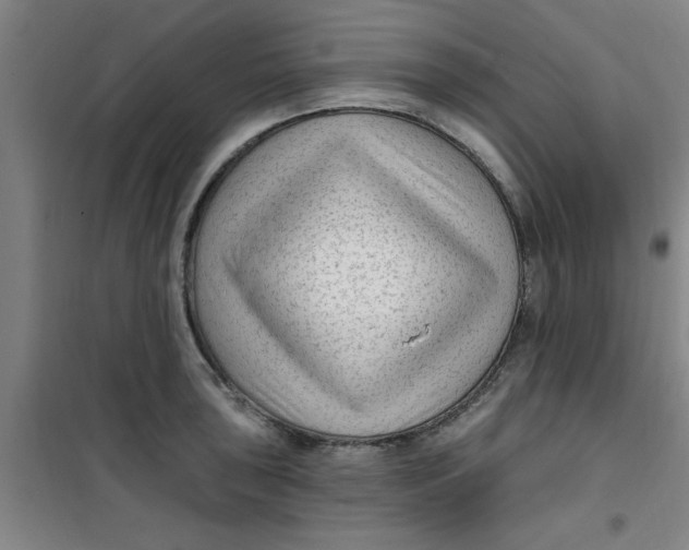X0000099481043200805301614