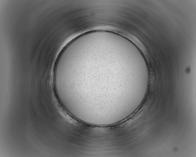 X0000099481044200805301614