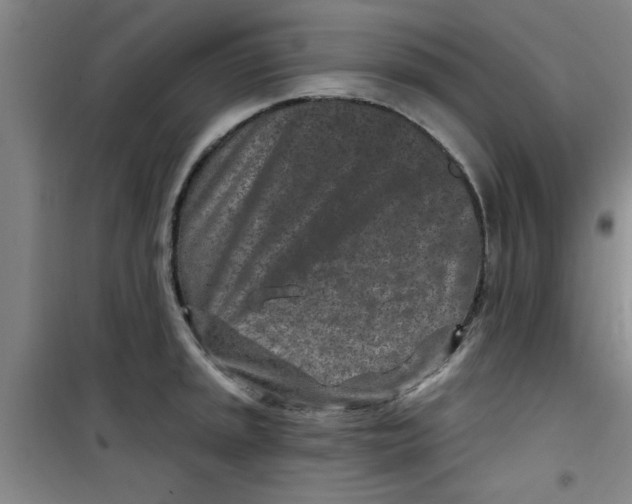 X0000099481045200805301614
