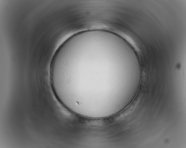 X0000099481047200805301614
