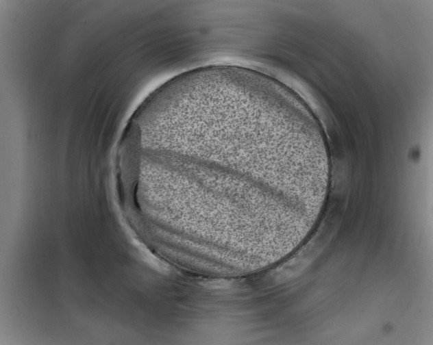 X0000099481048200805301614