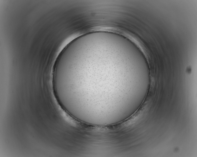 X0000099481050200805301614
