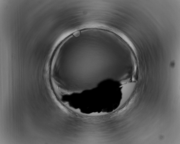 X0000099481053200805301615