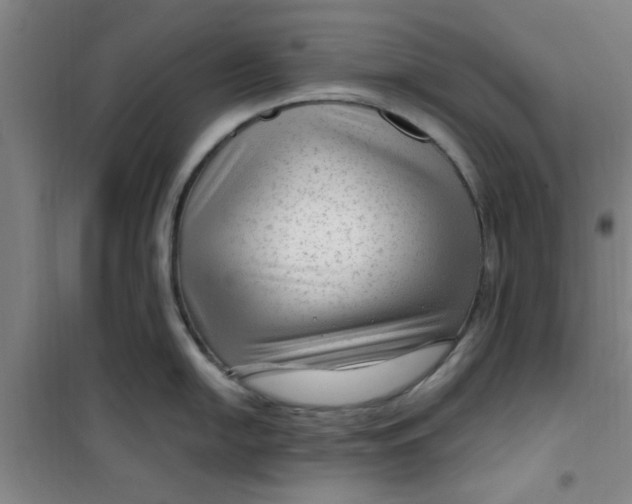 X0000099481054200805301615