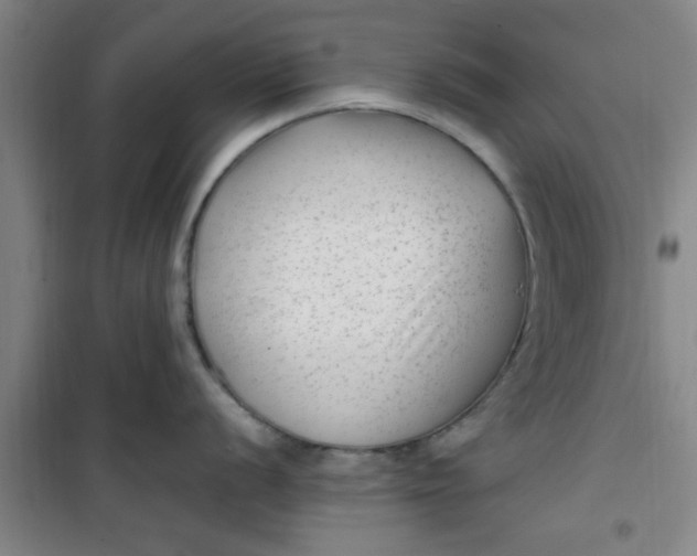 X0000099481056200805301615