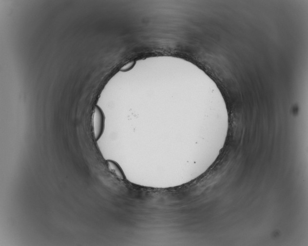 X0000099481057200805301614