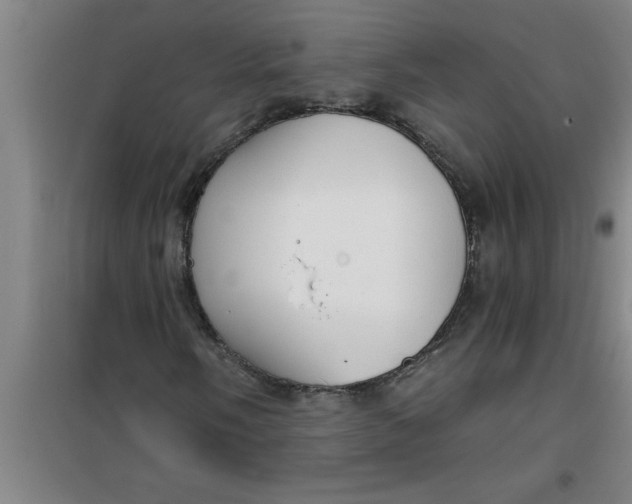 X0000099481058200805301614