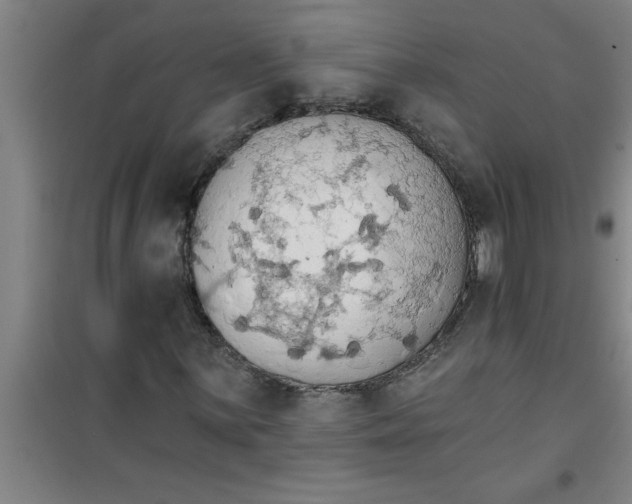 X0000099481059200805301614