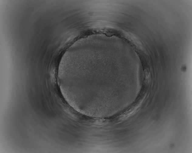 X0000099481060200805301614