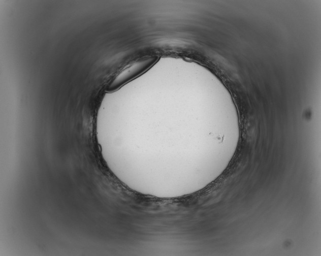 X0000099481061200805301614