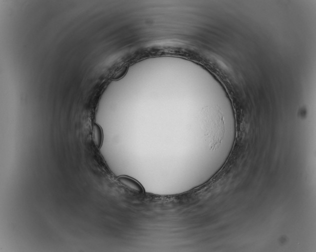 X0000099481062200805301614