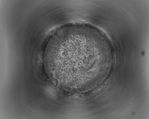 X0000099481063200805301614
