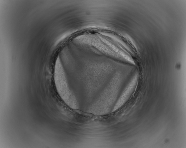 X0000099481064200805301614