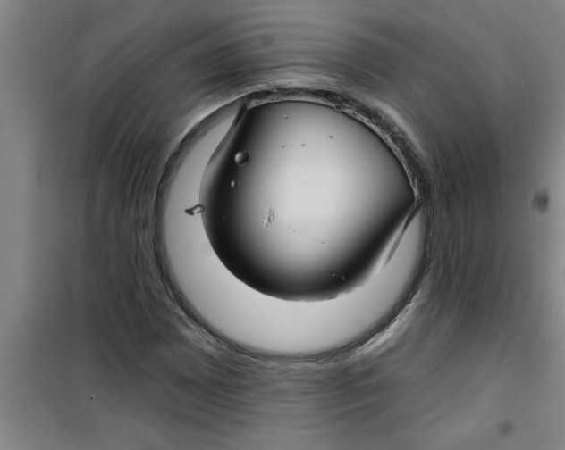 X0000099481065200805301614