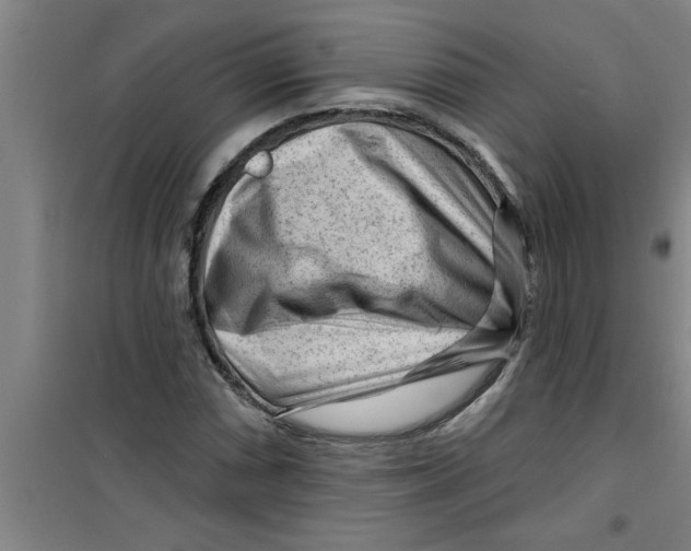 X0000099481066200805301614