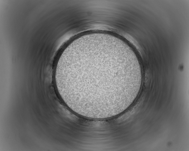 X0000099481067200805301614