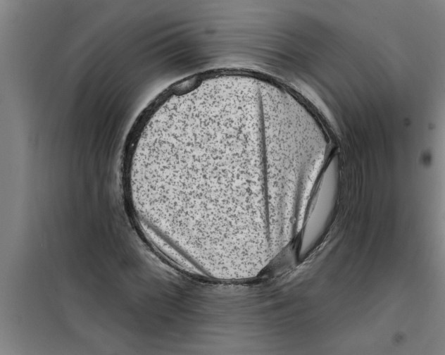 X0000099481068200805301614