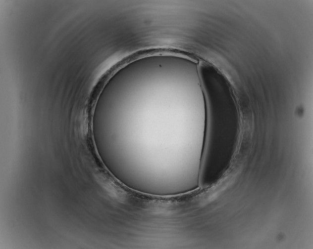 X0000099481069200805301614