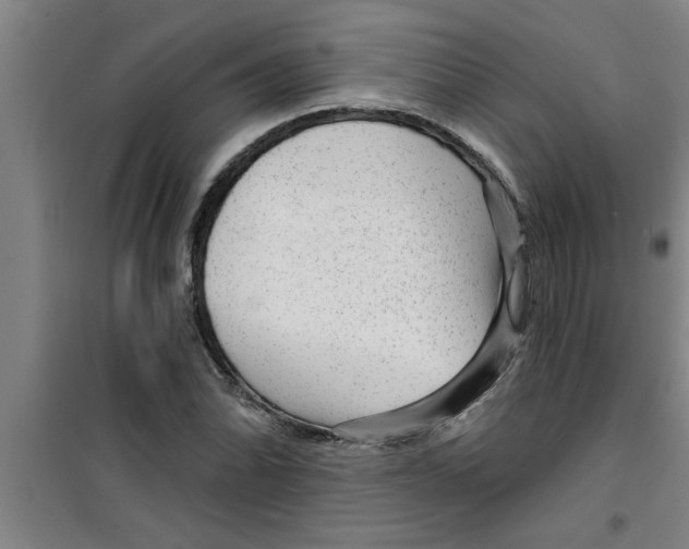 X0000099481070200805301614