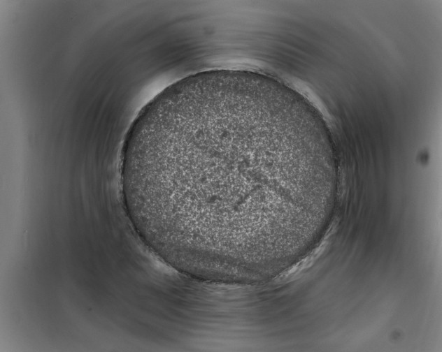 X0000099481071200805301614