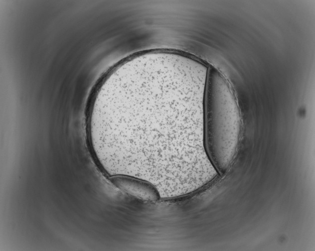 X0000099481072200805301614