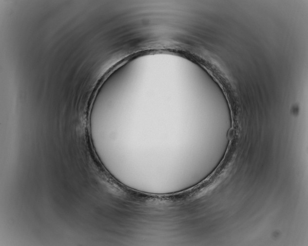 X0000099481073200805301614