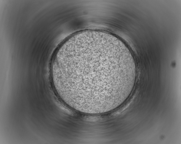 X0000099481074200805301614