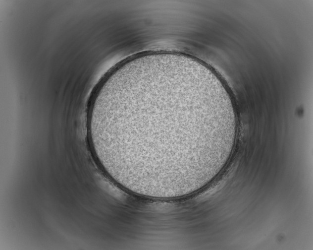 X0000099481075200805301614