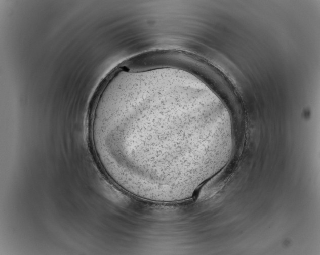 X0000099481076200805301614