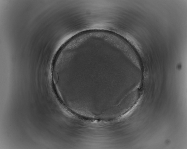 X0000099481077200805301614