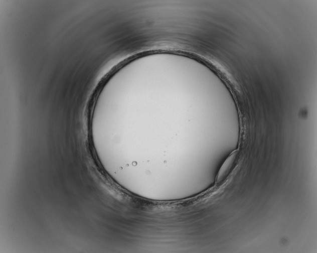 X0000099481078200805301614