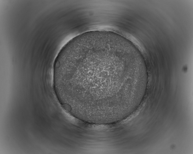 X0000099481079200805301614