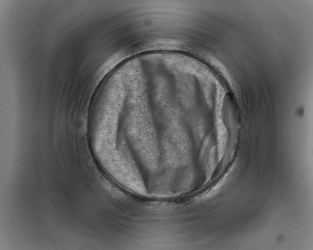 X0000099481081200805301614