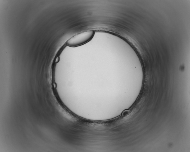 X0000099481082200805301613