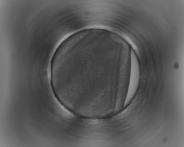 X0000099481084200805301613