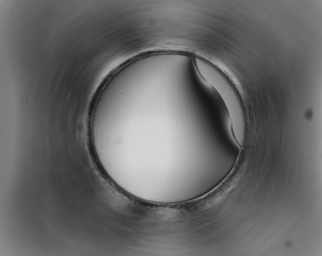 X0000099481085200805301613