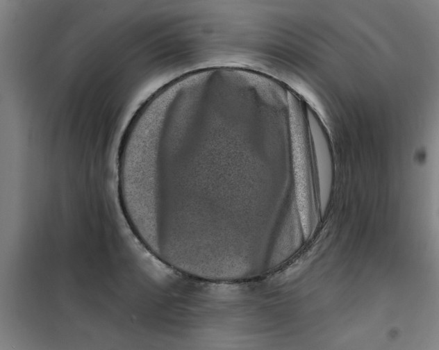 X0000099481088200805301613
