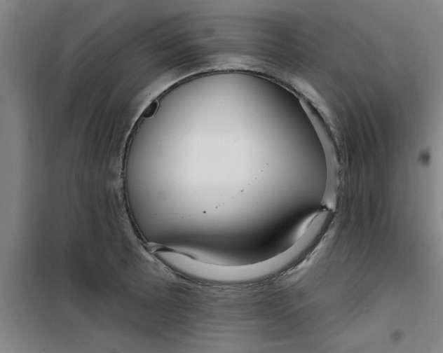 X0000099481089200805301613