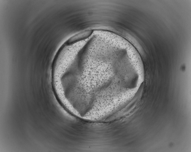X0000099481092200805301613