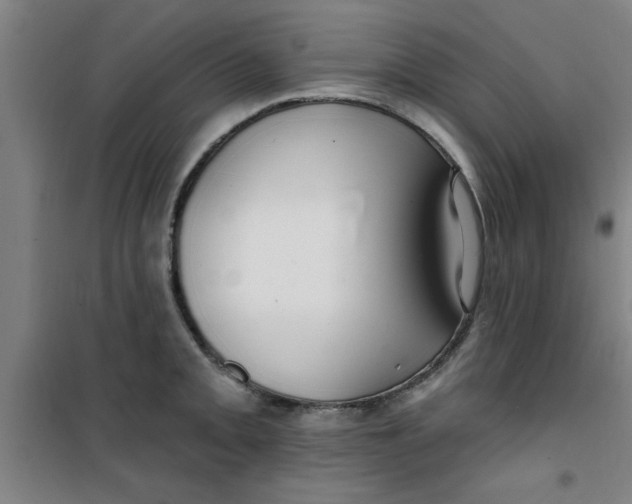 X0000099481093200805301613