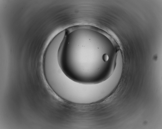 X0000099481096200805301613