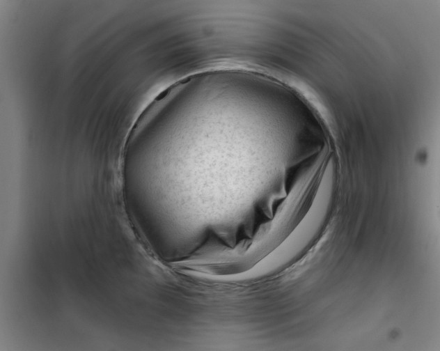 X0000099481097200805301613